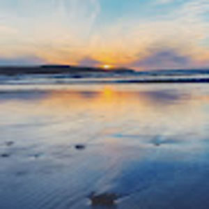 Meet your Posher, Lizzy